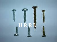 Cheese Phillips Head Self Tapping Screw Suppliers